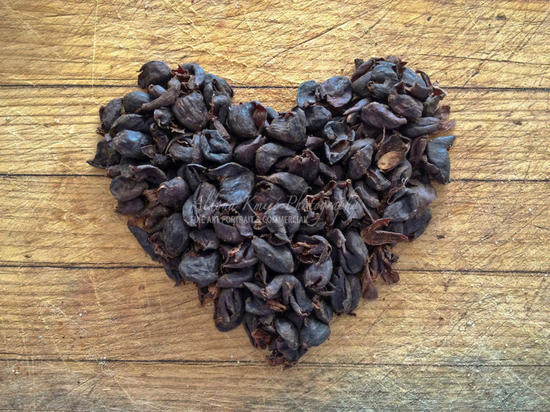 Valentines Day Coffee Heart shaped 'Cascara’ - the pulp of the coffee cherries