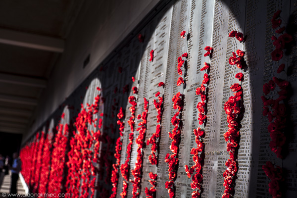 Australian War Memorial symbolic peace Red Poppies