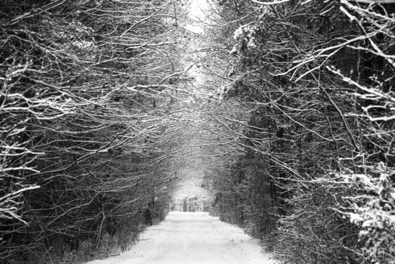 Memories of Polish childhood Snow under my feet poem poetry ballarat Aldona polska zima polish winter biezen