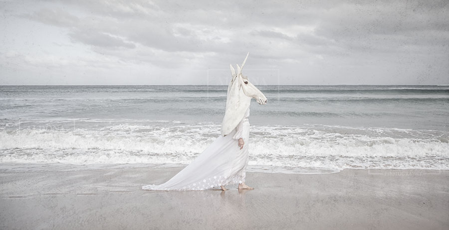 What Is Creative Photography? Unicorns Are Real artwork