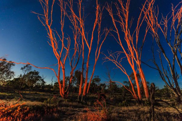 Lake Hindmarsh in the Wimmera. Australia. Photographic Artist Aldona Kmieć