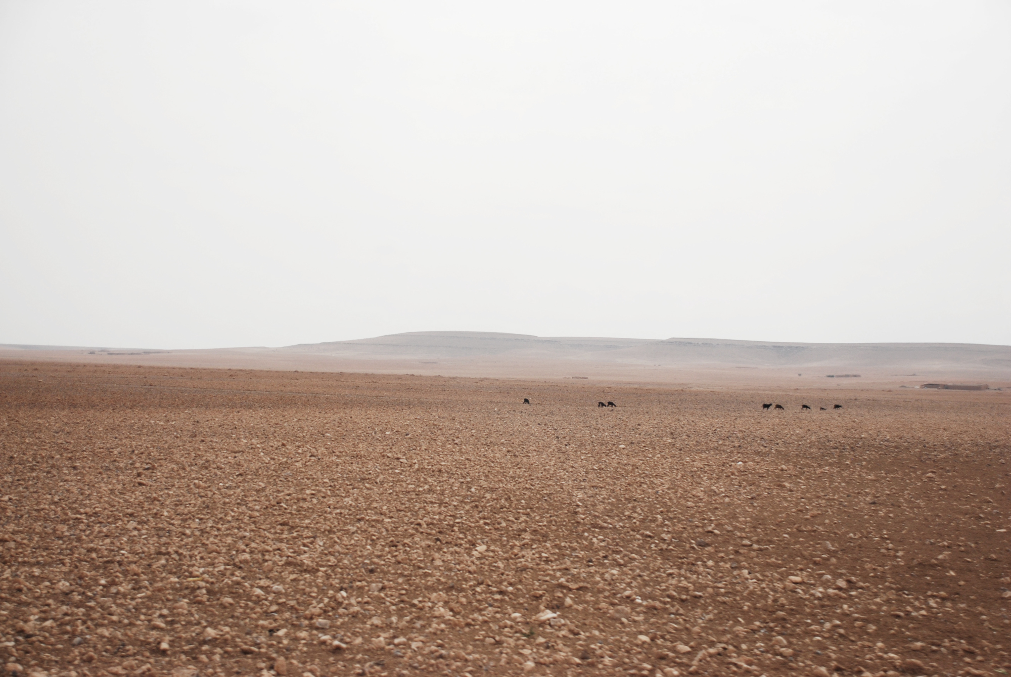 Moroccan Landscape print Marrakech