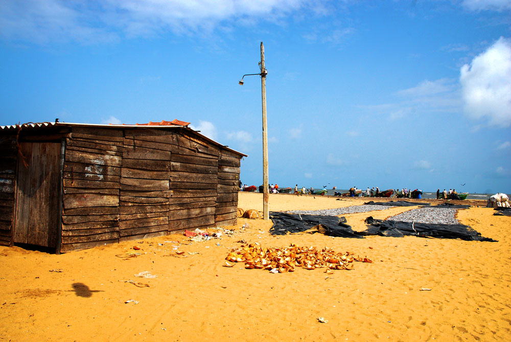 Fishermen organize their fish to dry in nets on the beach in Negombo, Sri Lanka (Aldona Kmiec)