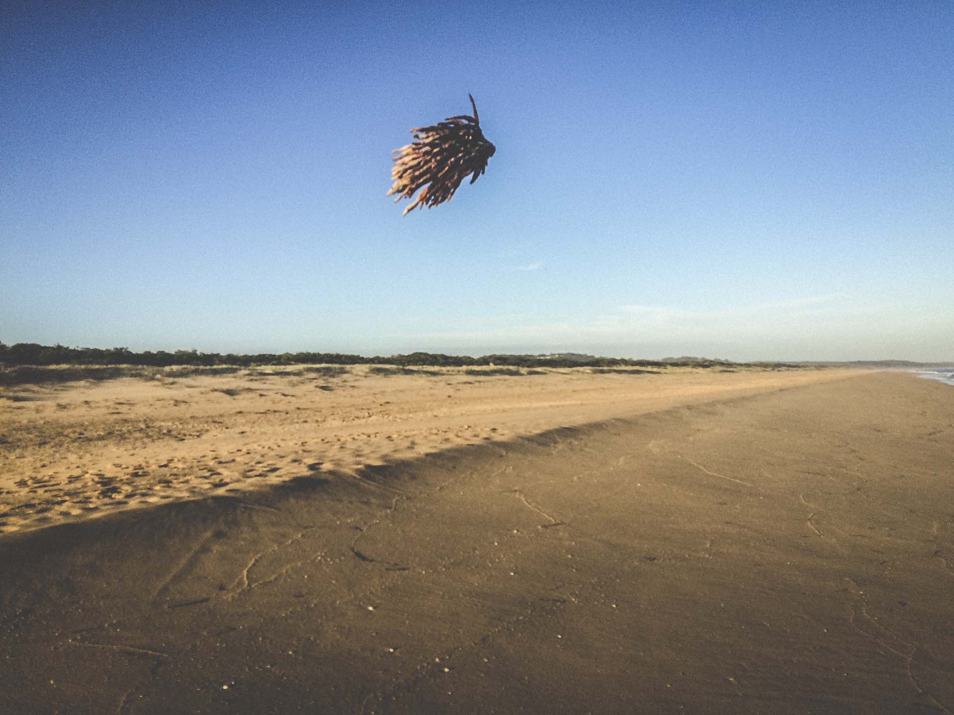 Flying Object haiku intervention 90 Miles Beach Lakes Entrance beach seeweed