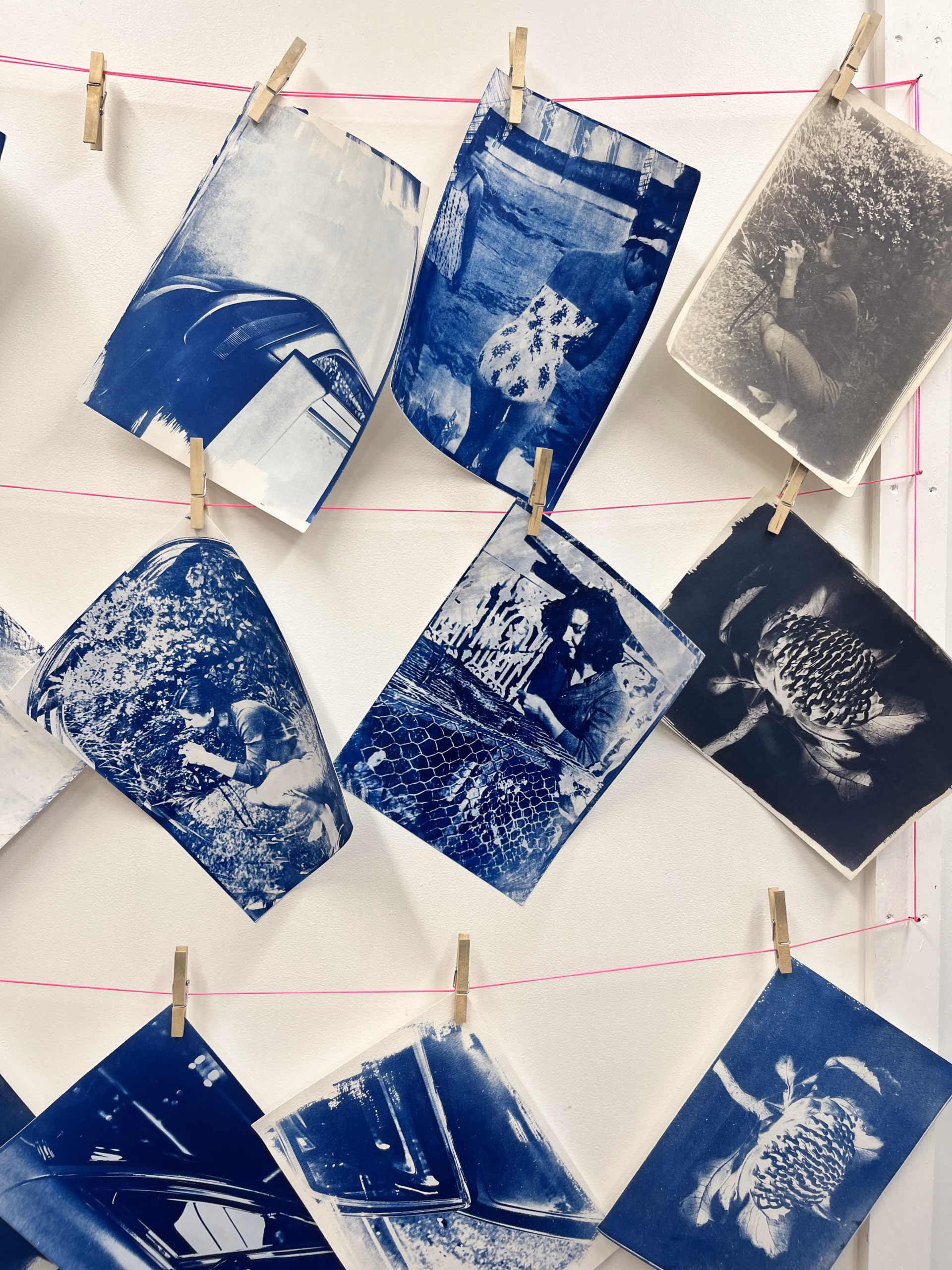 Advanced Cyanotype Workshop Montsalvat