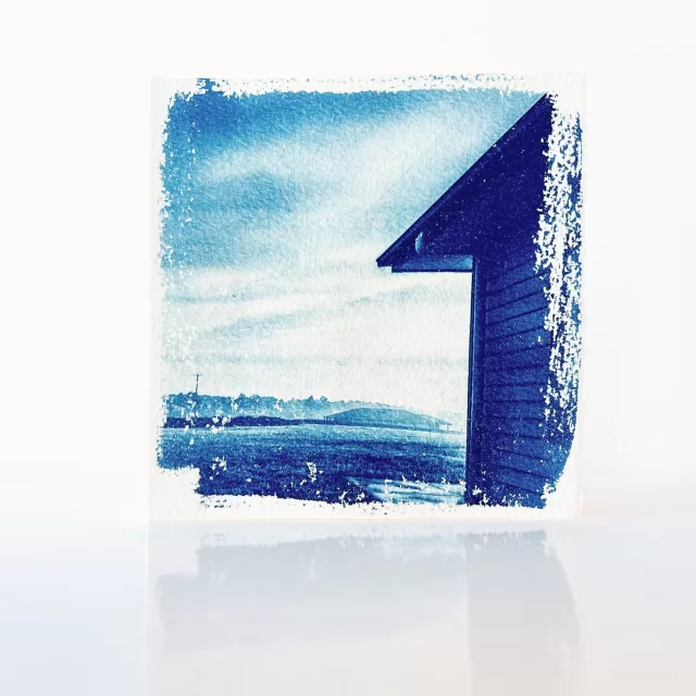 Unique handmade cyanotype greeting cards on cold pressed Arches paper 300gsm