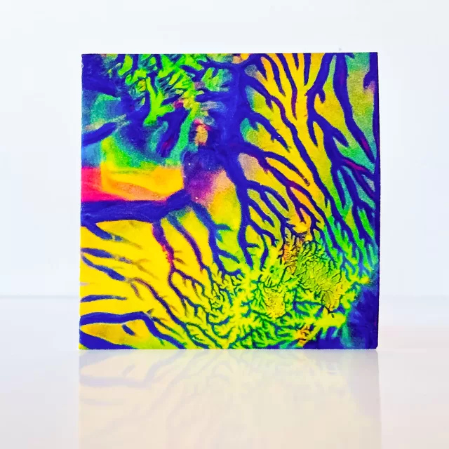 Unique greeting cards on Baryta paper 300gsm
