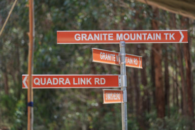 Logging old forest growth East Gippsland Gippslandia Magazine