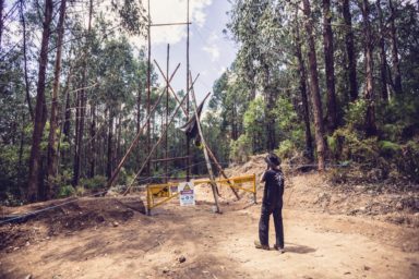 Logging of the old forest growth, Granite Mountain blockade East Gippsland