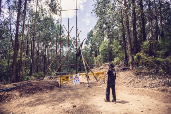Logging of the old forest growth, Granite Mountain blockade East Gippsland