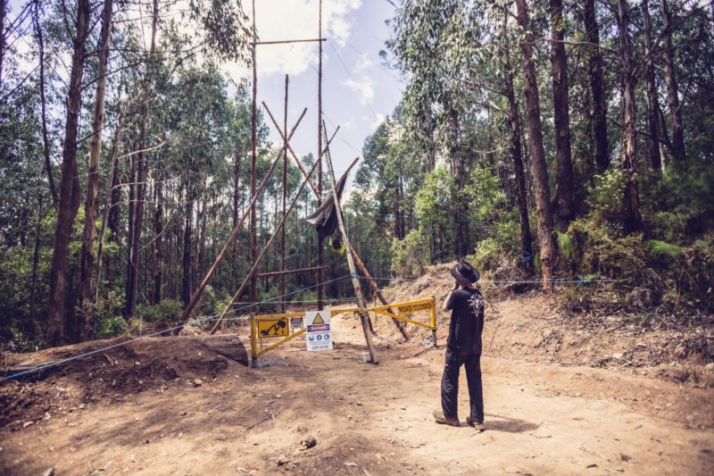 Logging of the old forest growth, Granite Mountain blockade East Gippsland