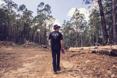 Granite Mountain Forest Activists for Gippslandia Magazine