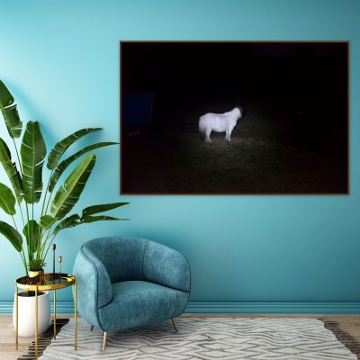 Ghost Pony print insitu Aldona Kmiec Artist