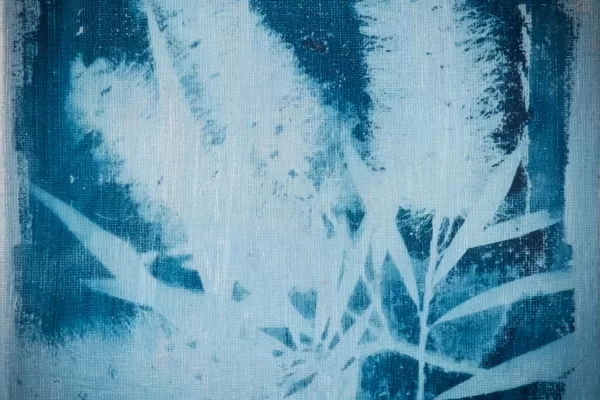 Cyanotype photogram