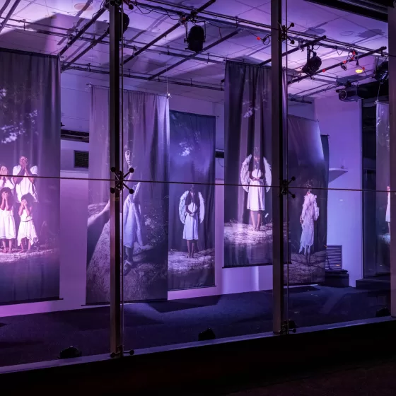 Aldona Kmieć Invisible Lives Frankston Arts Centre