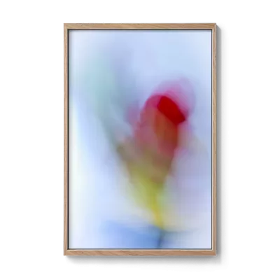 Winterbloom 32 Aldona Kmieć framed art