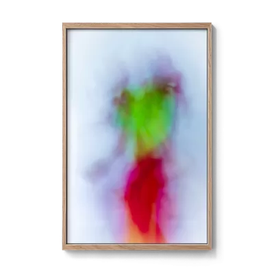 Winterbloom 41 Aldona Kmieć framed art