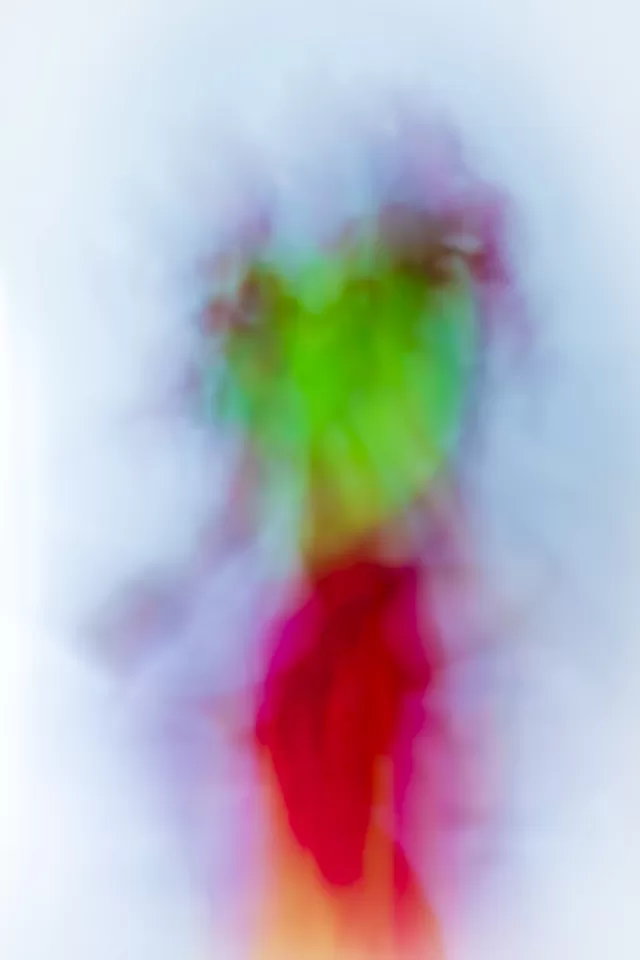 Winterbloom 41 Aldona Kmieć art