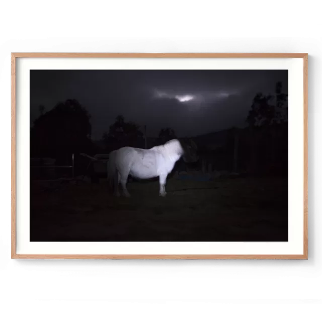Ghost Pony print Framed