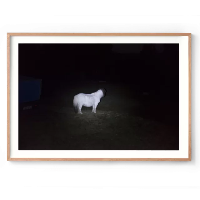 White Pony print Framed