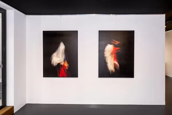 Veil exhibition at Tacit Art Abbotsford Aldona Kmieć