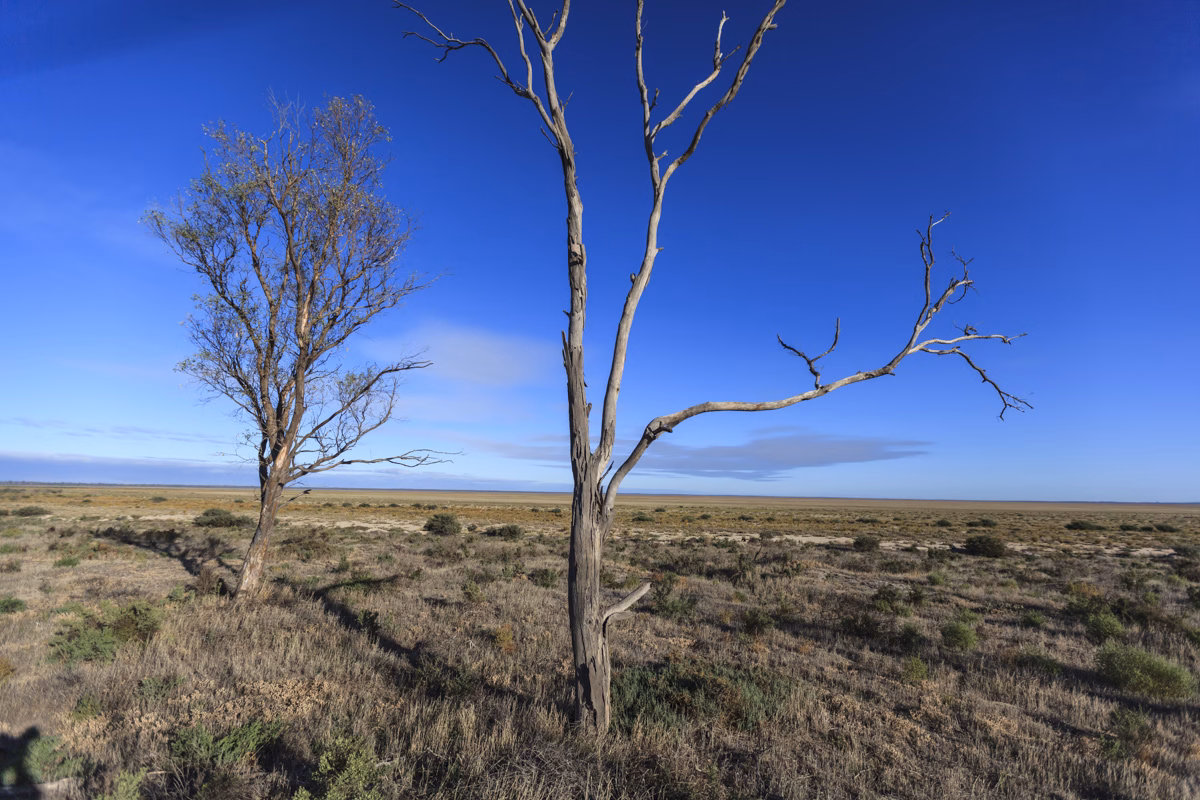 Lake Hindmarsh 40_Saturday, 26 March 2016 at 9:08 am