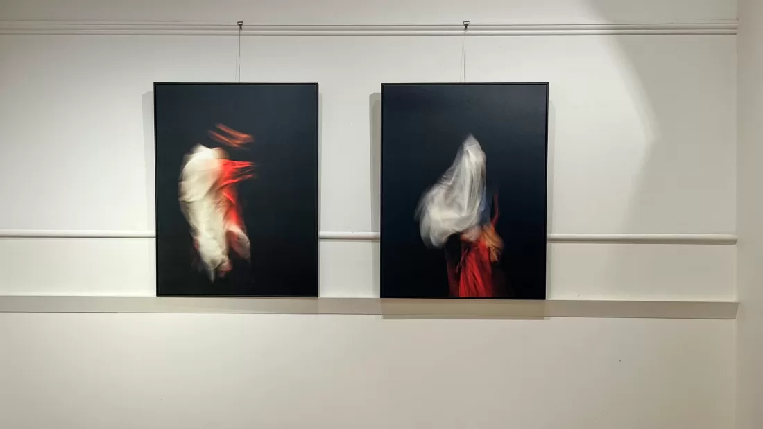 Veil Aldona Kmiec Artist _Polish Art Foundation exhibition Victorian Artists Society