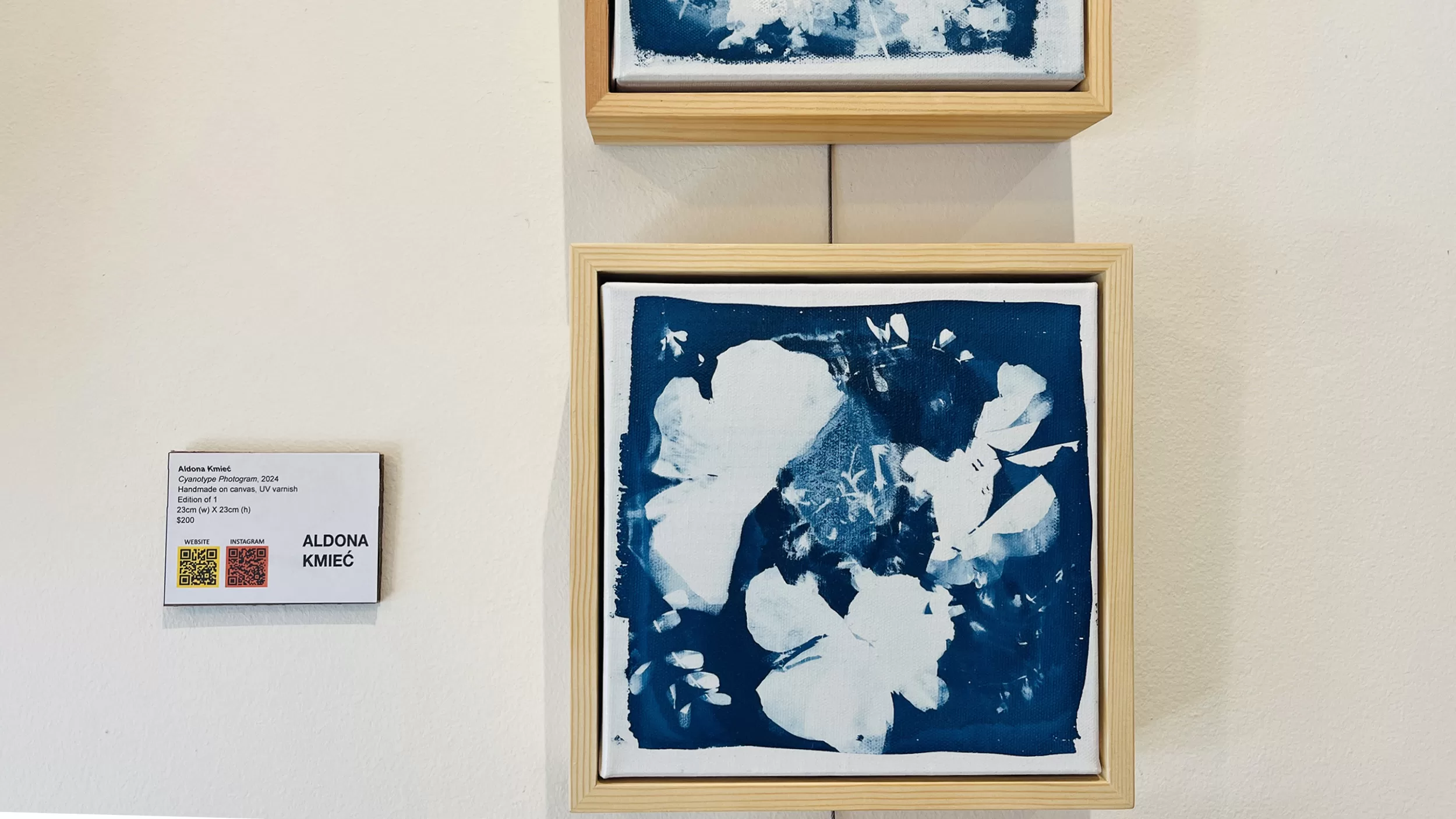 Cyanotype on canvas Eaglemont Artist Hub