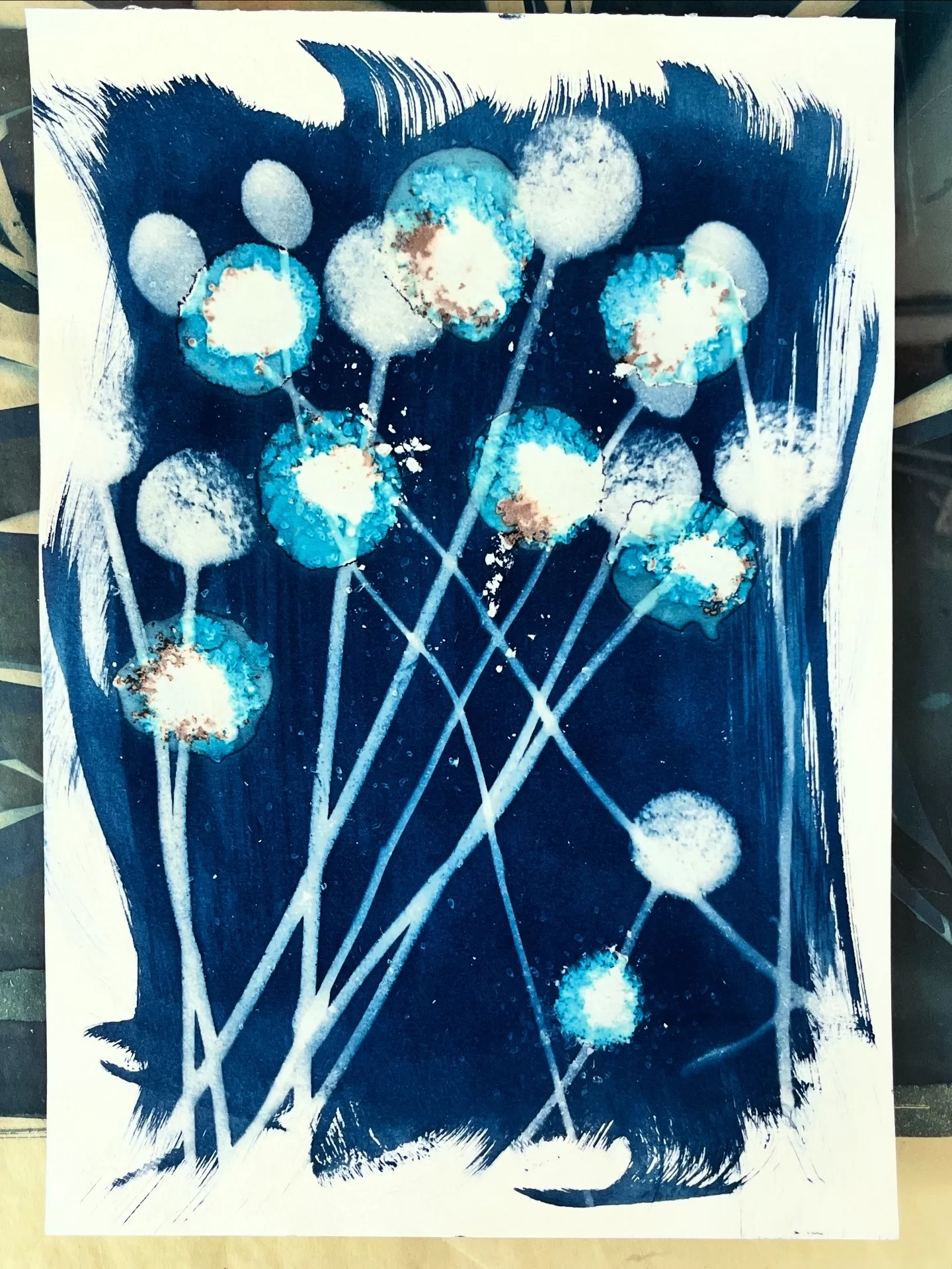 Billy Button_Original Wet Cyanotype artwork A4 size archival 225gsm paper
