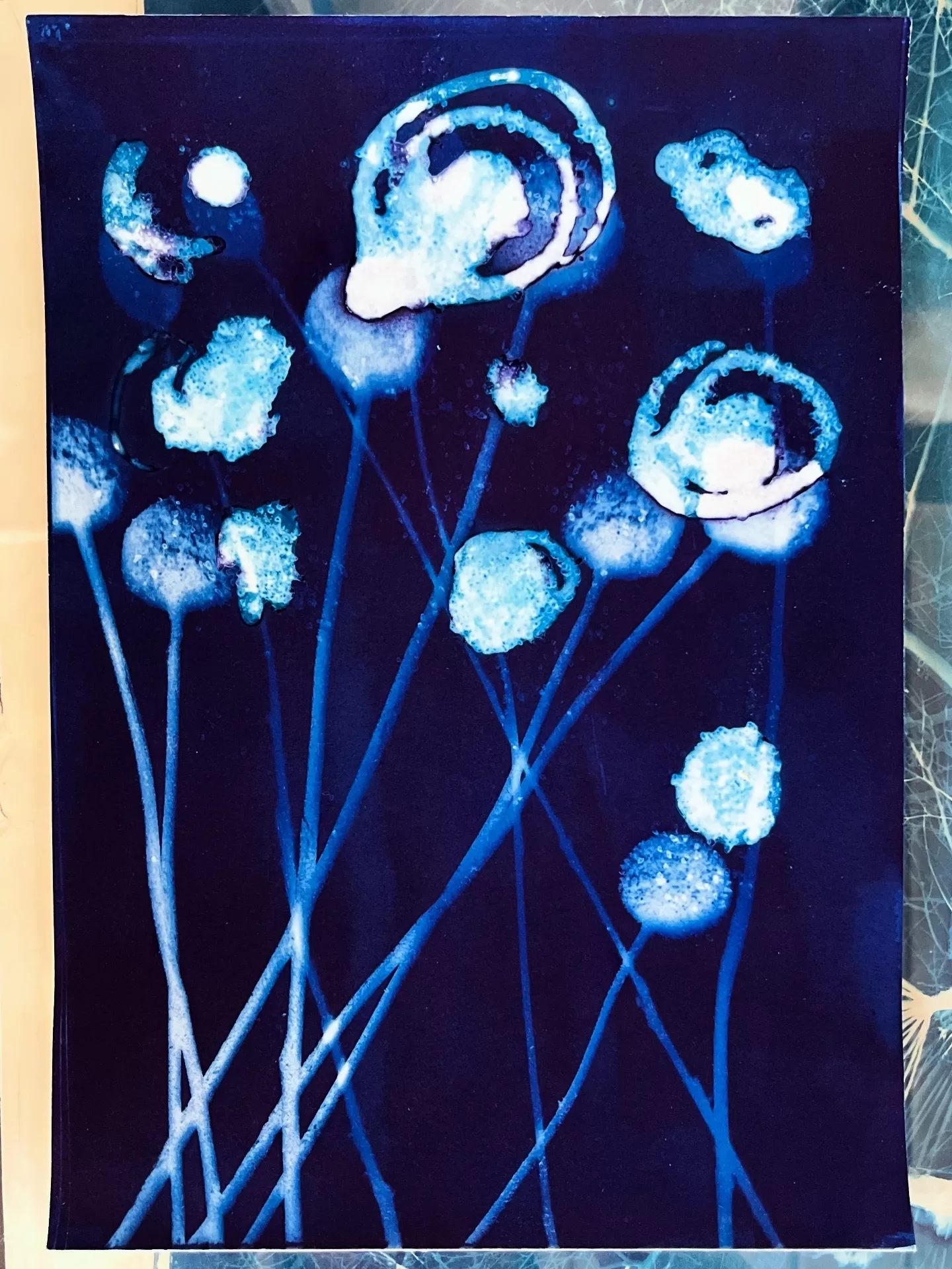 Billy Buttons_Original Wet Cyanotype artwork A4 size archival 225gsm paper
