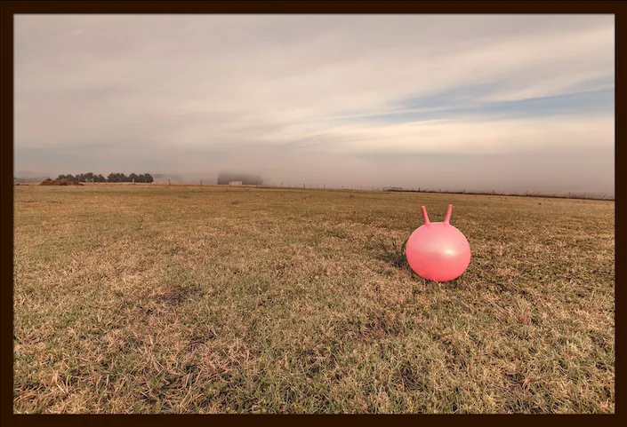 AldonaKmiec-Space-Hopper-Wy-Yung_framed