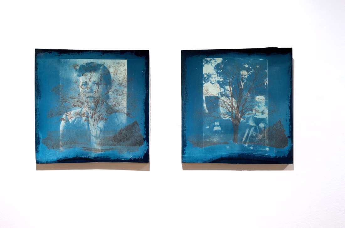 Family Tree cyanotype diptych artwork