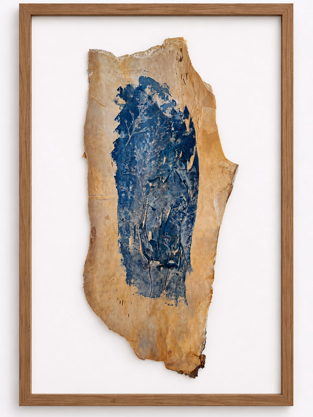 Original cyanotype on Australian paperbark (Melaleuca quinquenervia) by Aldona Kmieć