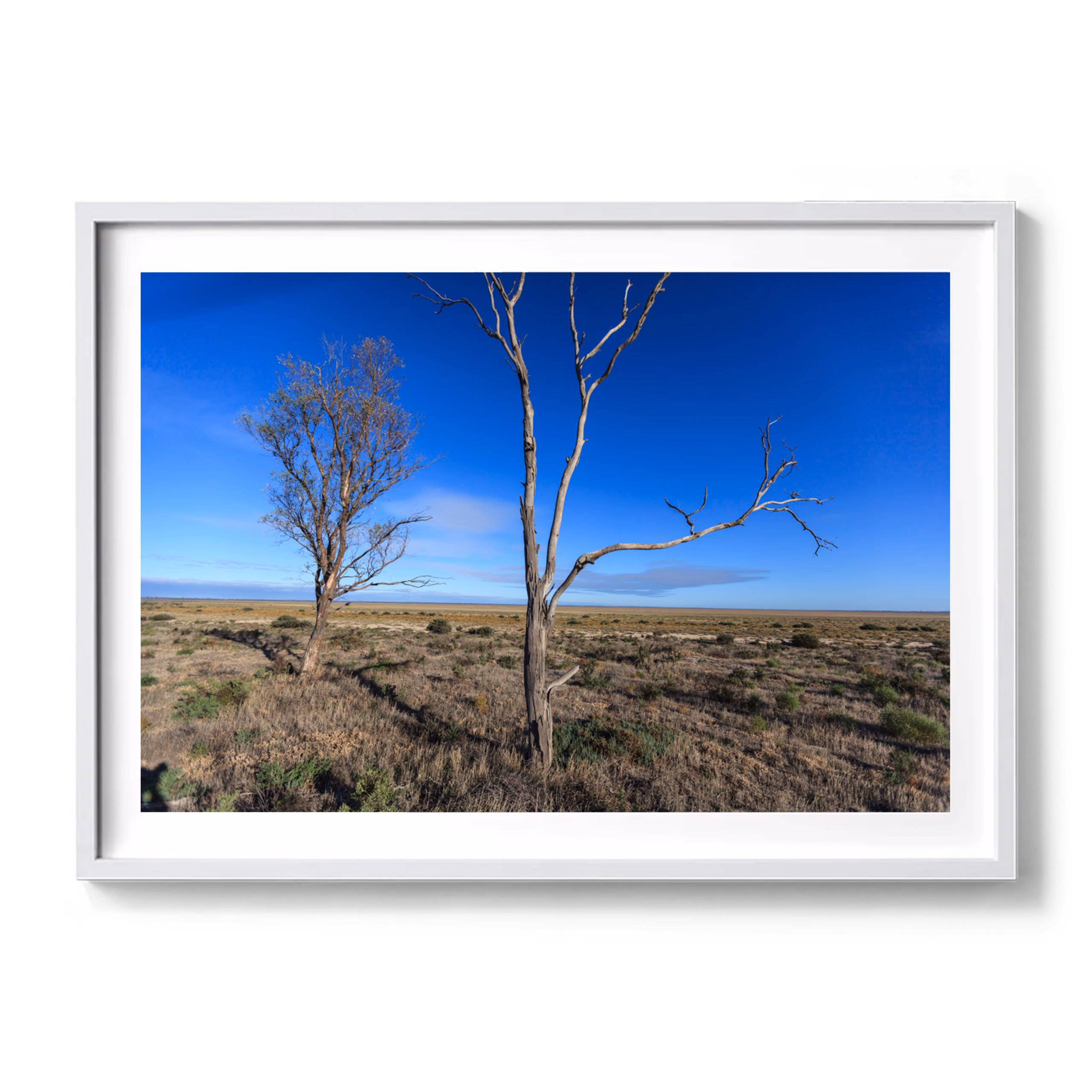 Lake Hindmarsh 40_Saturday, 26 March 2016 at 9:08 am